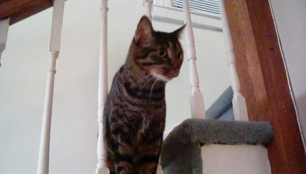 IMG_20151228_184906 (1)