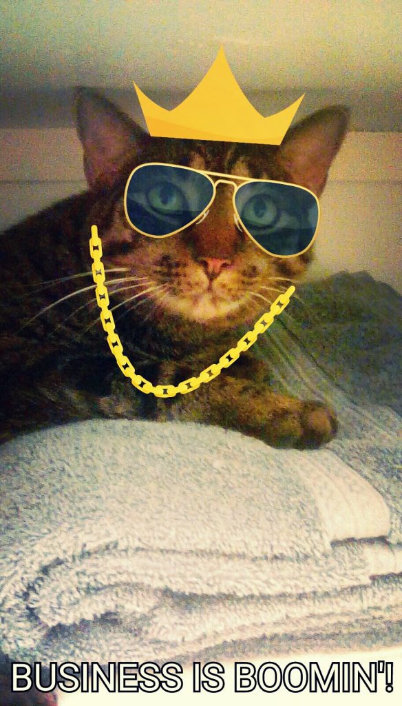 IMG_20160301_211757_kindlephoto-8950702