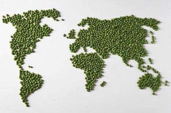 WORLD PEAS