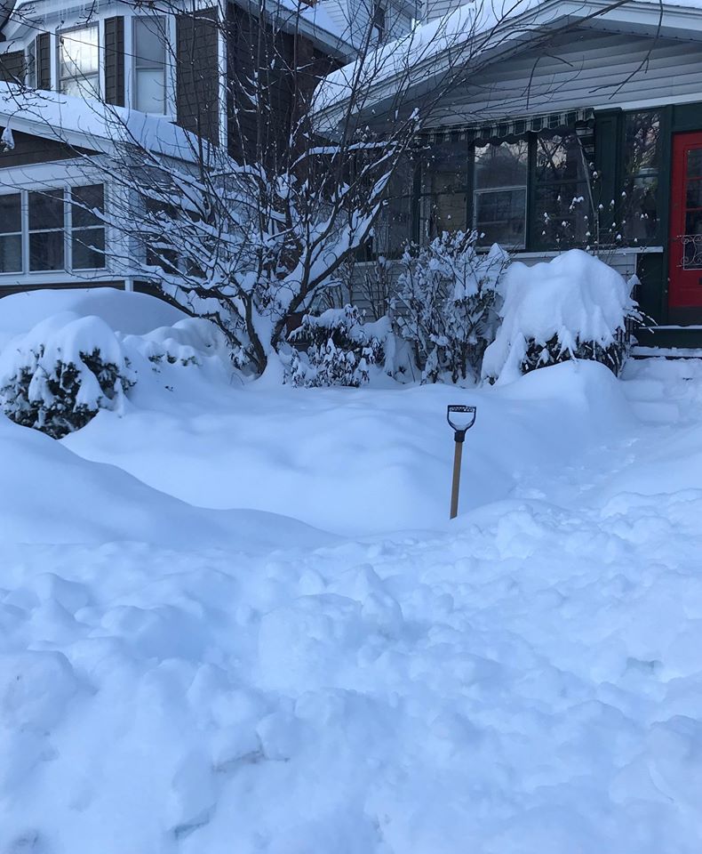 Winter.Amy Biancolli