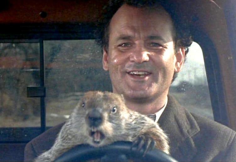 bill murray.groundhog-day-driving
