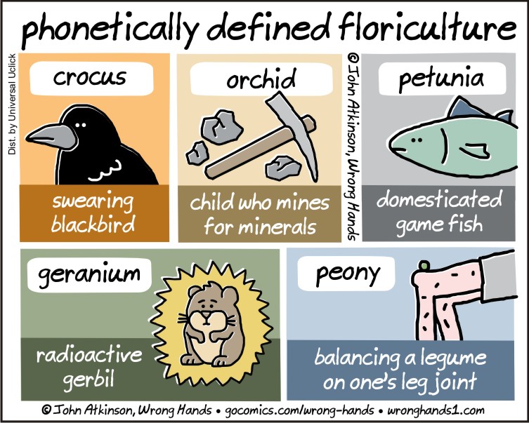 phonetically-defined-floriculture