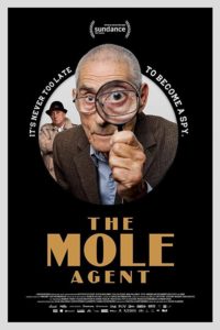 Mole Agent