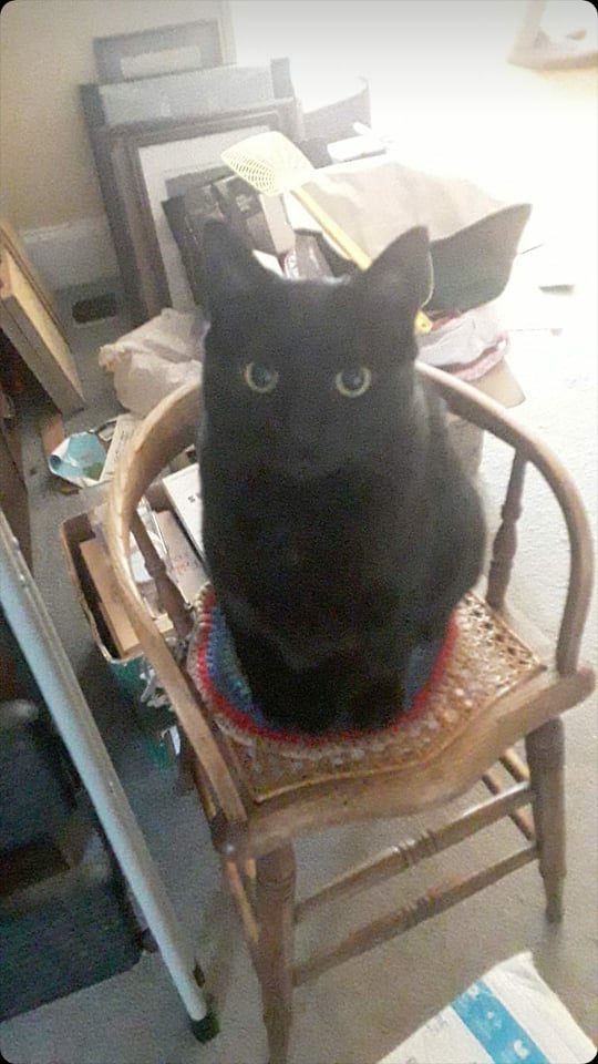 Midnight on Olin chair