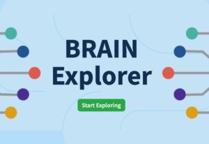 brainexplorer