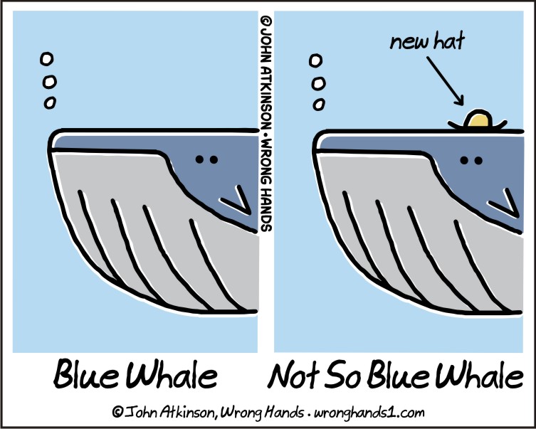 blue-whale