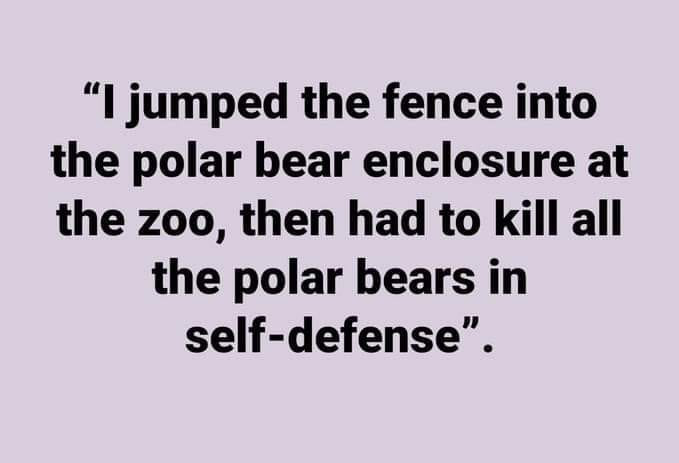 polar bear