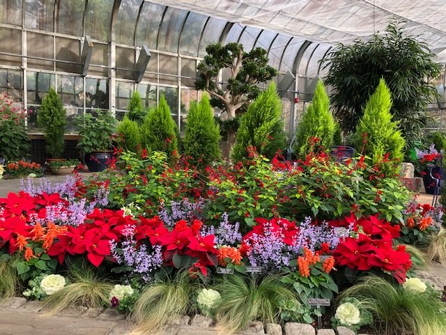 Photo taken by Wayne