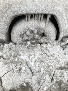 ice tire